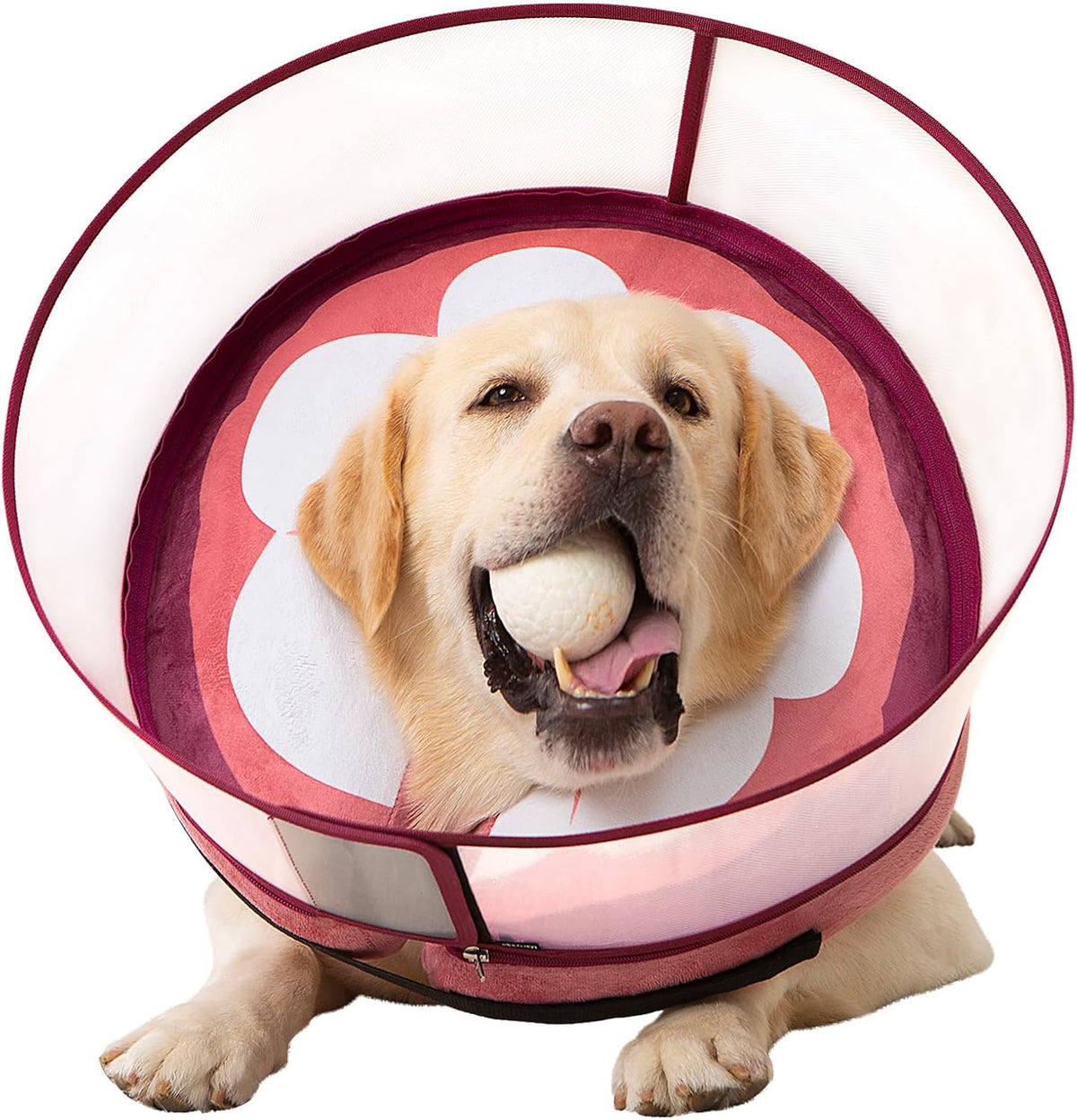 Inflatable Dog Cone Collar for Large Medium Small Dogs, Soft Dog Donut Collar Adjustable Recovery Cone for Pets After Surgery, Extra Enhanced Anti-Licking Guard Shield for Pets (Large, Orange) - Image 13