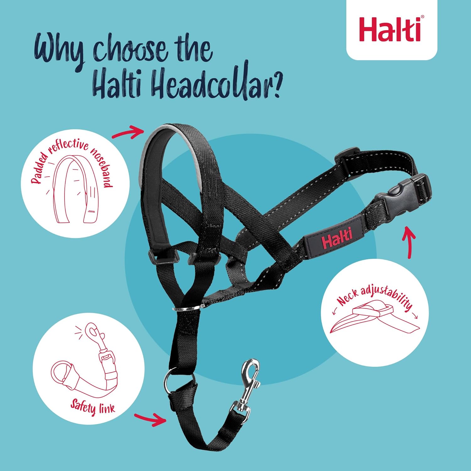 Black Halti headcollar close up view of durable nylon webbing and metal loops
