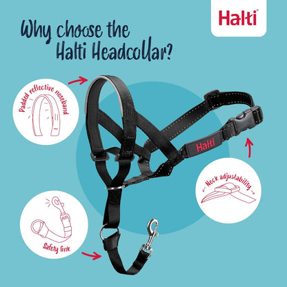 Black Halti headcollar close up view of durable nylon webbing and metal loops
