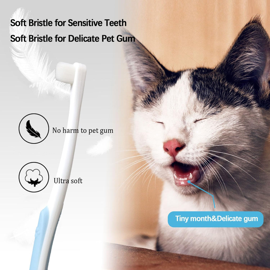 JGocot pet dental care package showing blue green pink and purple color options