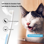 JGocot pet dental care package showing blue green pink and purple color options
