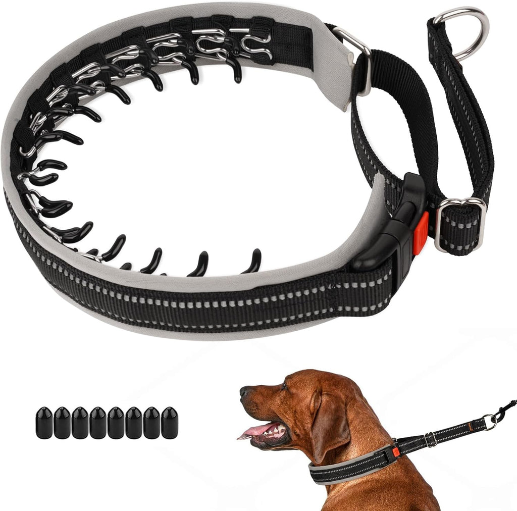 Mayerzon training collar packaging and included instruction manual