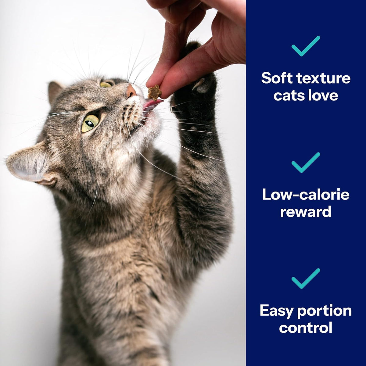 Soft bite sized chicken flavor cat treats close up