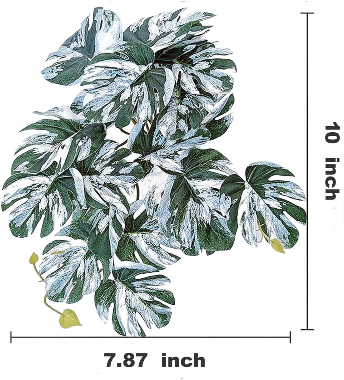 Artificial variegated Monstera leaves with suction cup mounts