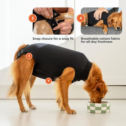 Premium post spay recovery suit for dogs close up rear hold up system