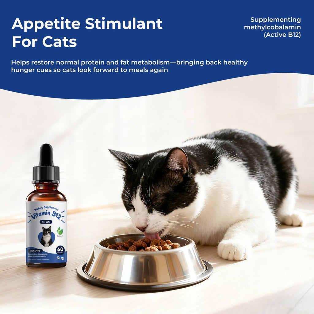 Bacon flavored methylcobalamin drops for cat energy and recovery supplement facts label