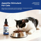 Bacon flavored methylcobalamin drops for cat energy and recovery supplement facts label