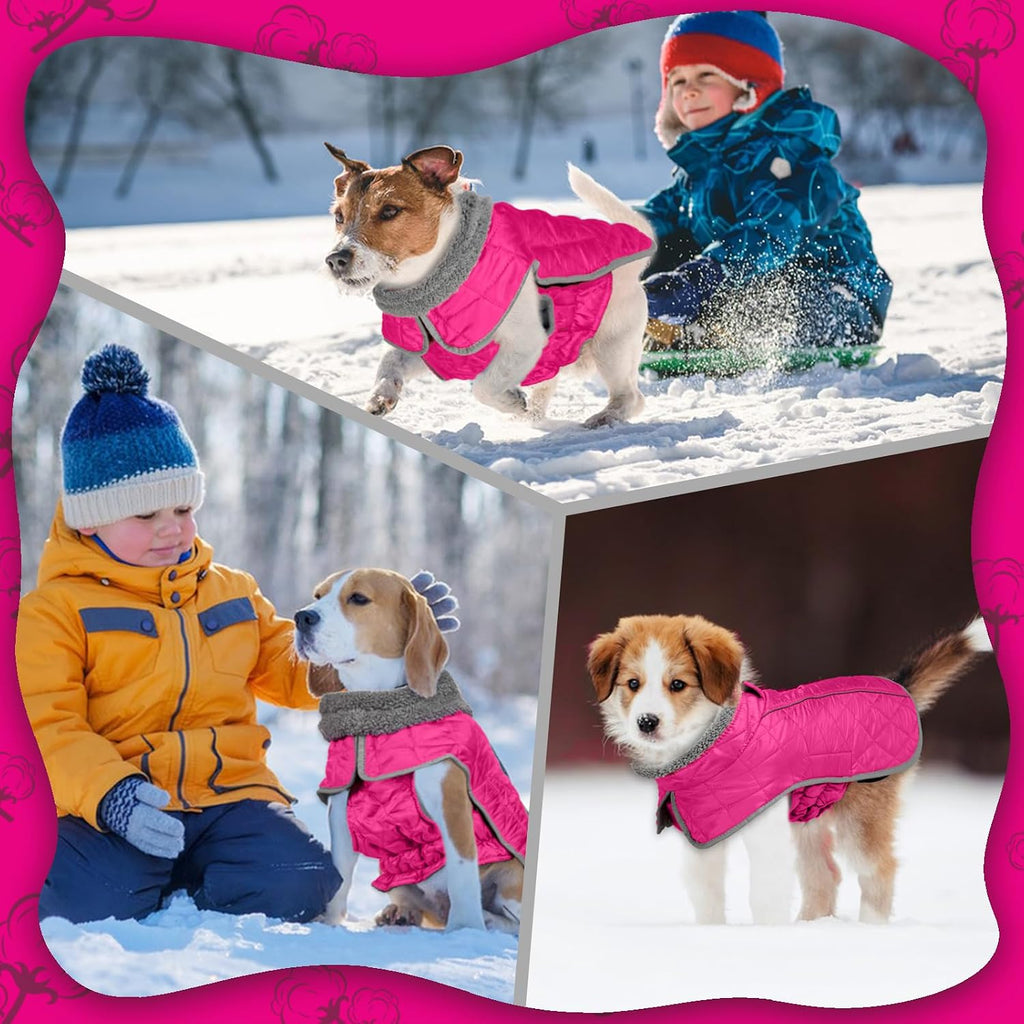 Fragralley weather resistant dog vest with rear leg straps