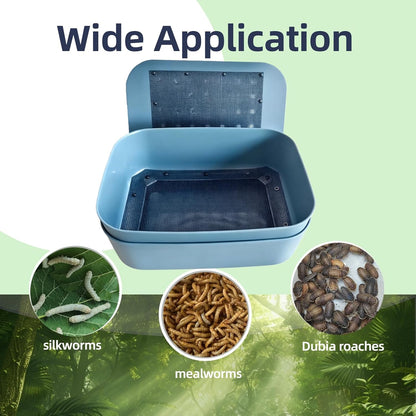 Reptile feeder insect farm setup