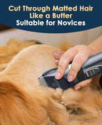 Full grooming kit layout including six guide guards, scissors, and comb with the blue cat clipper.