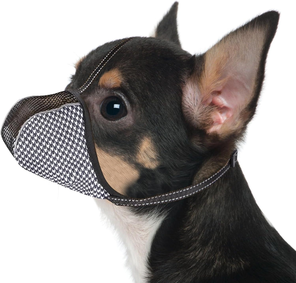 Joypaws dog muzzle for extra small dogs front view