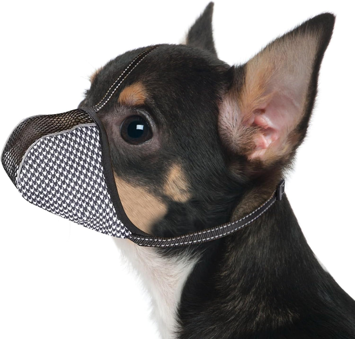 Joypaws dog muzzle for extra small dogs front view
