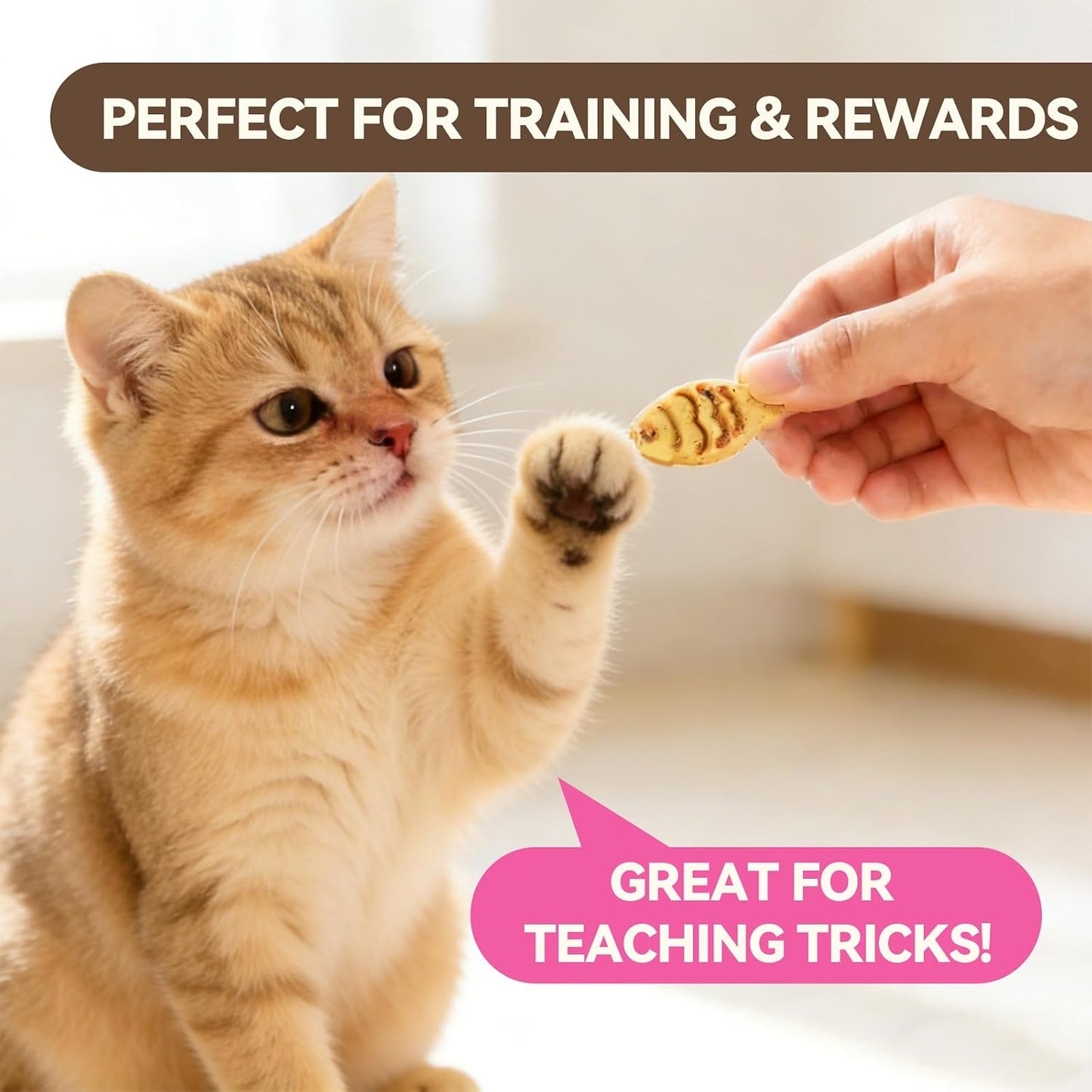 Natural catnip infused pet snacks for adult cat training