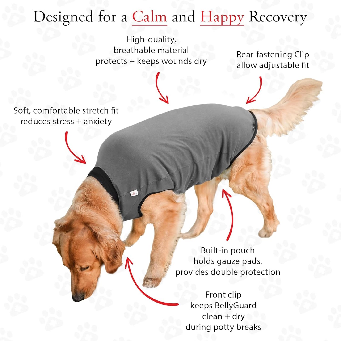 BellyGuard dog recovery suit for male neuter rolled up potty break design