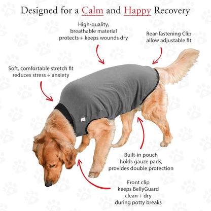 BellyGuard dog recovery suit for male neuter rolled up potty break design