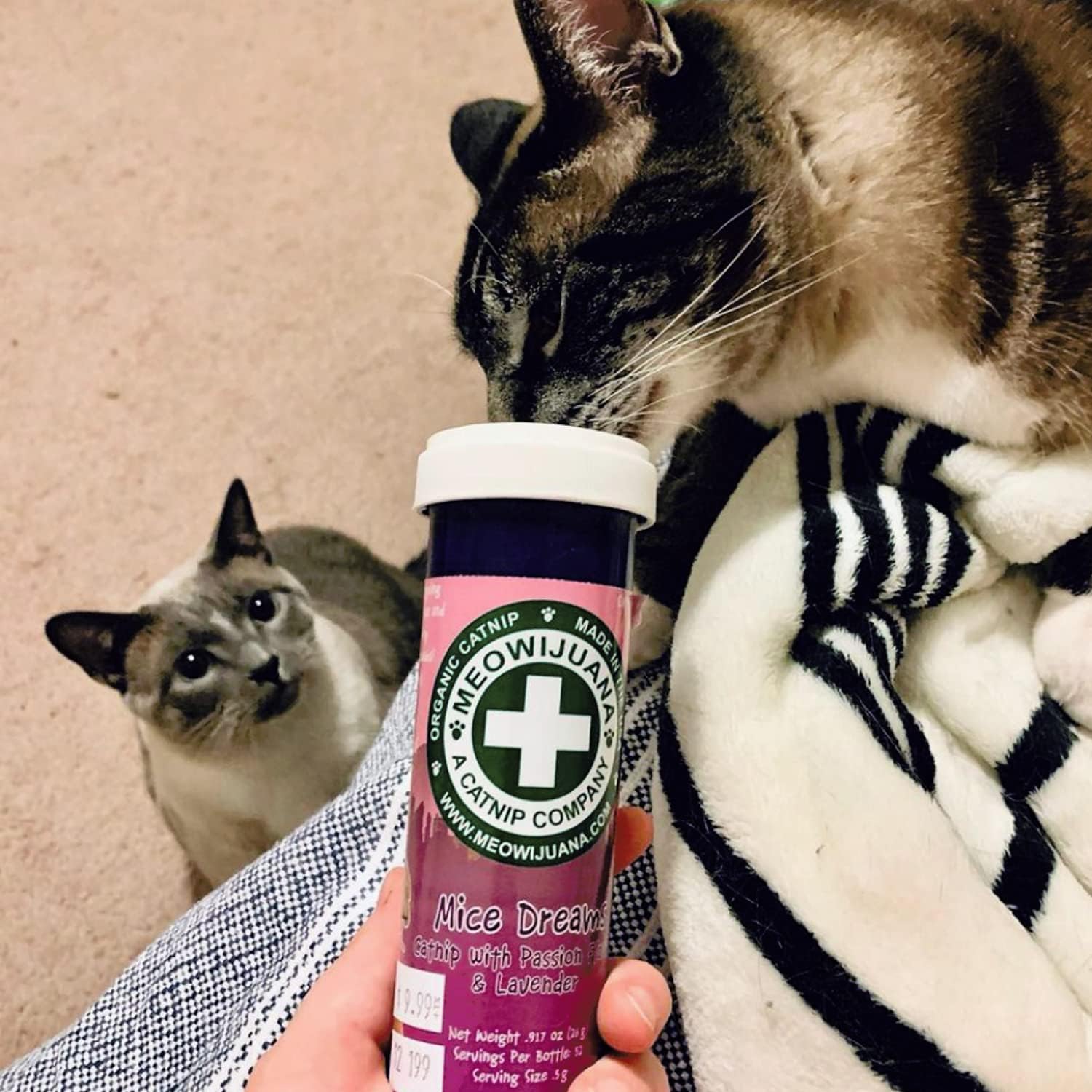 Hand processed potent catnip shake for mental feline stimulation