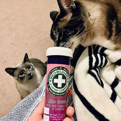 Hand processed potent catnip shake for mental feline stimulation