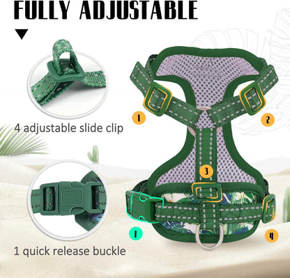 Adjustable cat vest harness with four secure adjustment straps on a kitten