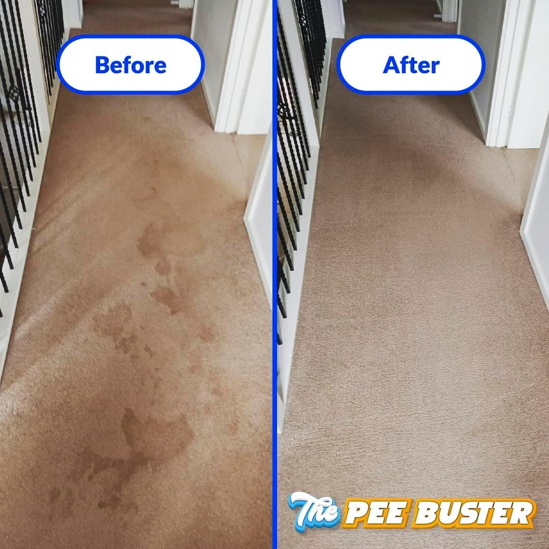 Multi surface pet urine cleaner spray being applied to a carpet stain