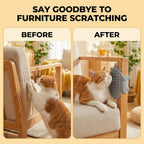 1pc Cat Self Groomer, Cat Face Scratcher Silicone Soft Wall Corner Massage Brush with Adjustable Straps, Interactive Scratcher Comb for Indoor Cats & Kittens, Furniture Protector Tools (Grey) - Image 9