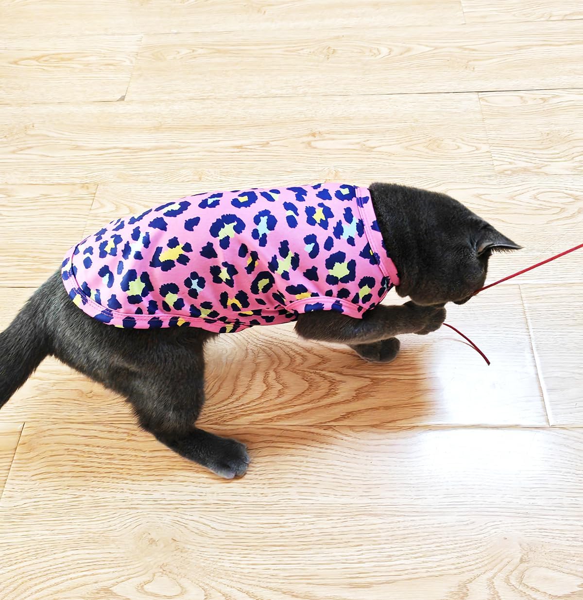 Sleeveless design feature on breathable cat clothing