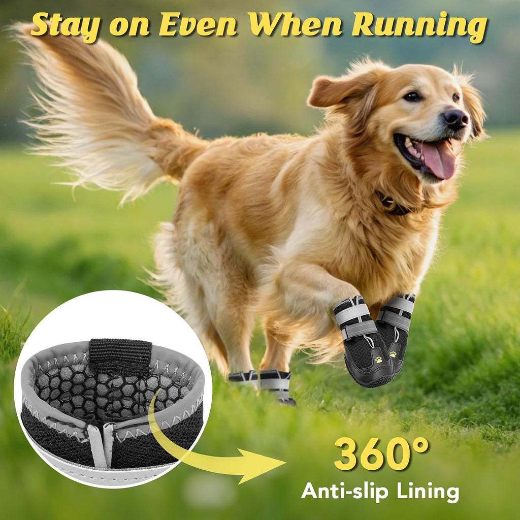 Luckypaw dog shoes secured on a dog paw