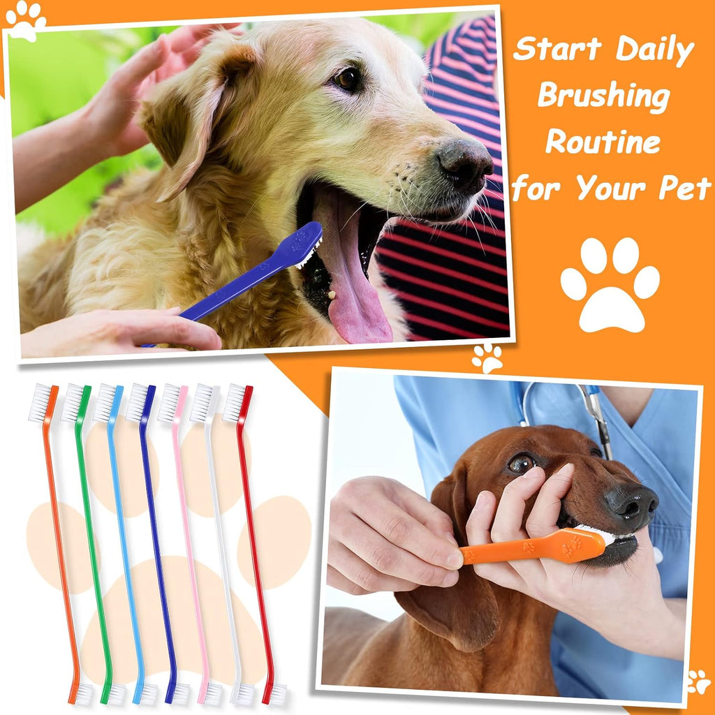 Variety of colorful pet toothbrushes from the Honeydak 70 piece set.
