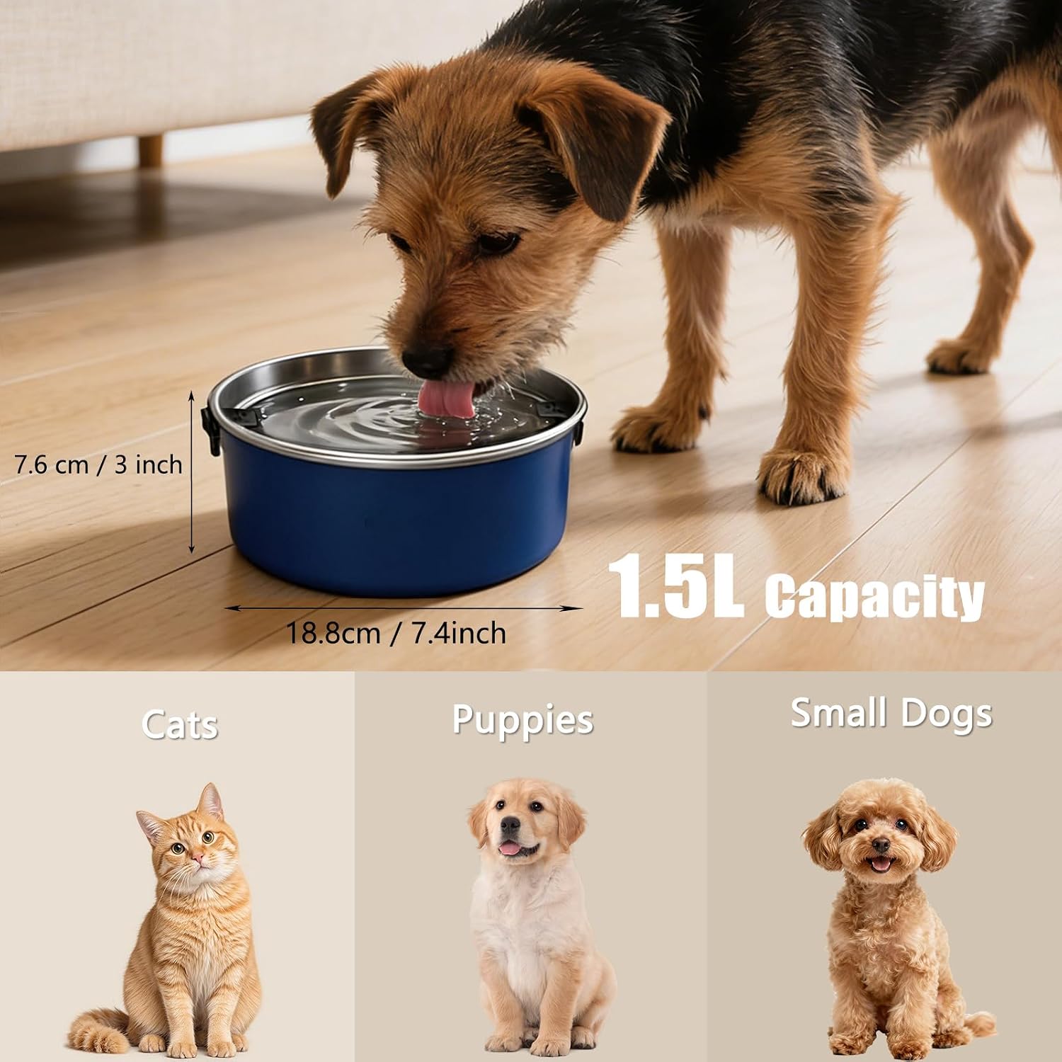 PurazQyn 1.5 Liter pet bowl disassembled to display the detachable stainless steel parts.