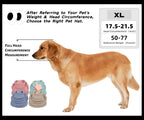 Etofixee pet hat featured in autumn outdoor setting