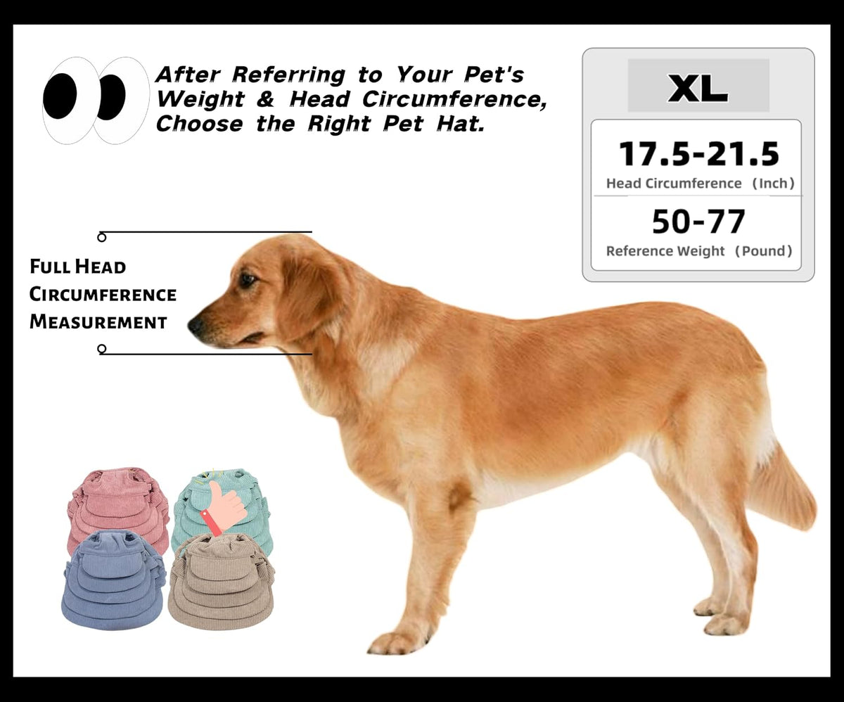 Etofixee pet hat featured in autumn outdoor setting