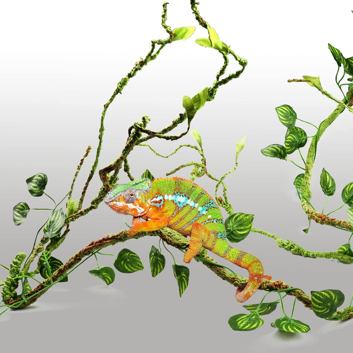 Full set of PietyPet reptile terrarium decorations laid out together.