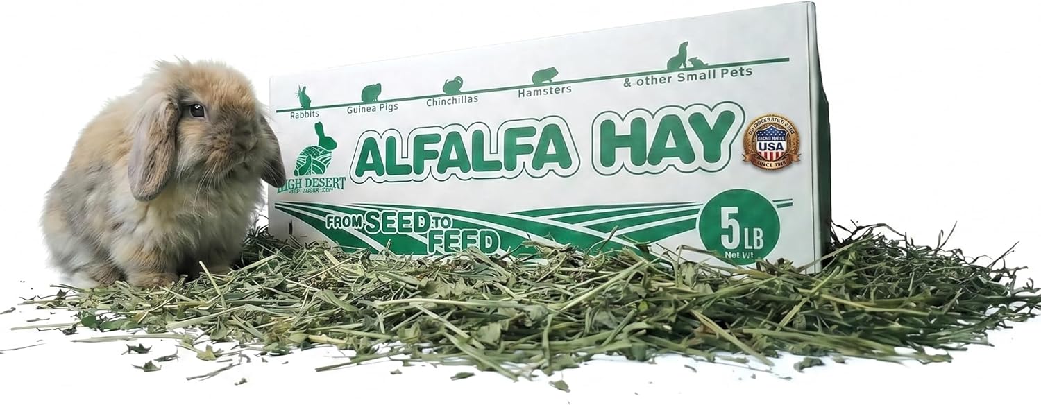 High Desert Alfalfa Hay 5 Pound box front view authentic small pet food