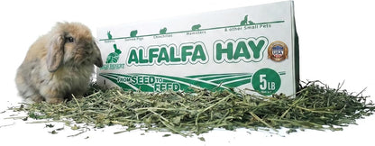 High Desert Alfalfa Hay 5 Pound box front view authentic small pet food