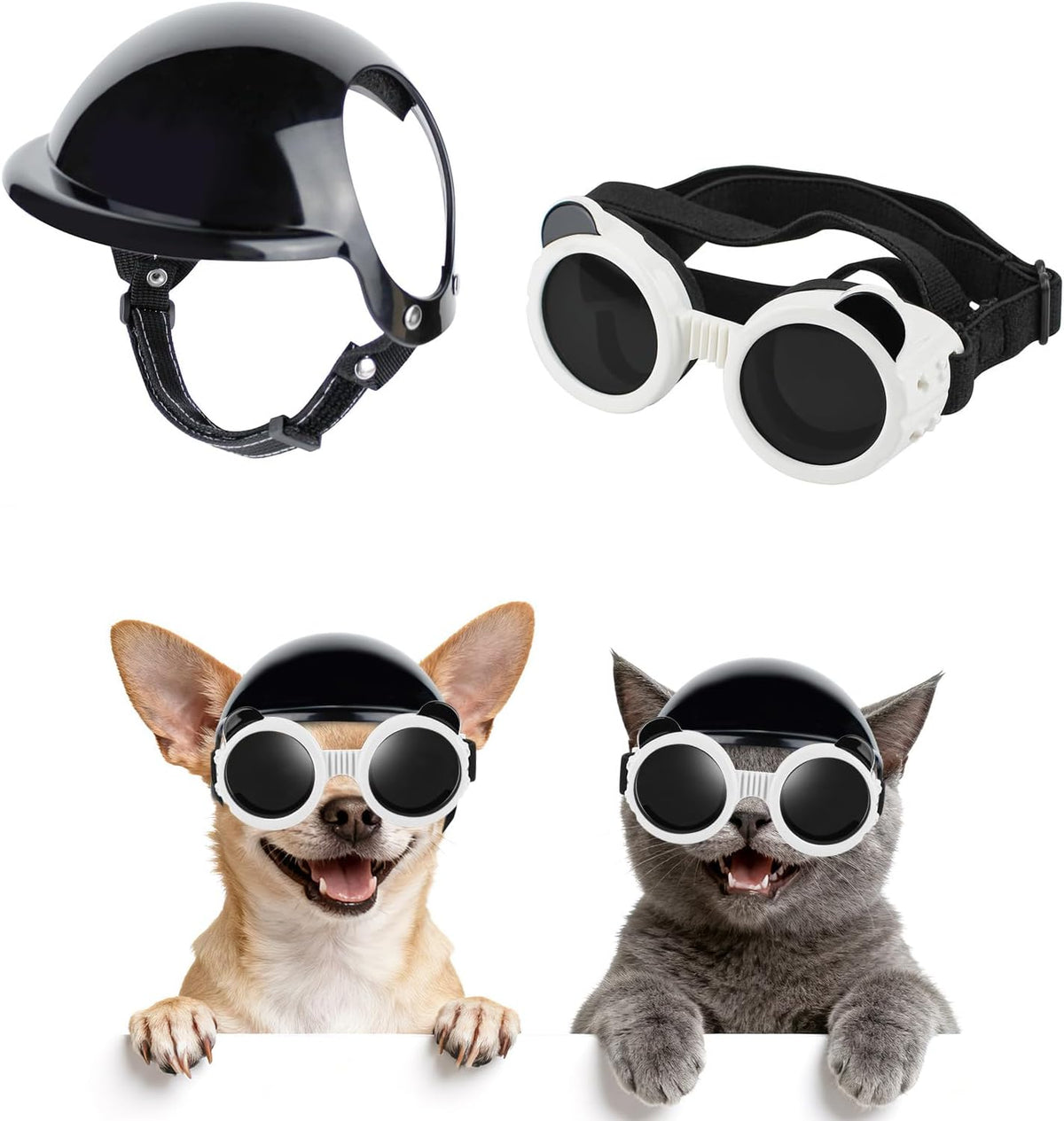 Dog wearing protective eye gear and helmet for outdoor travel