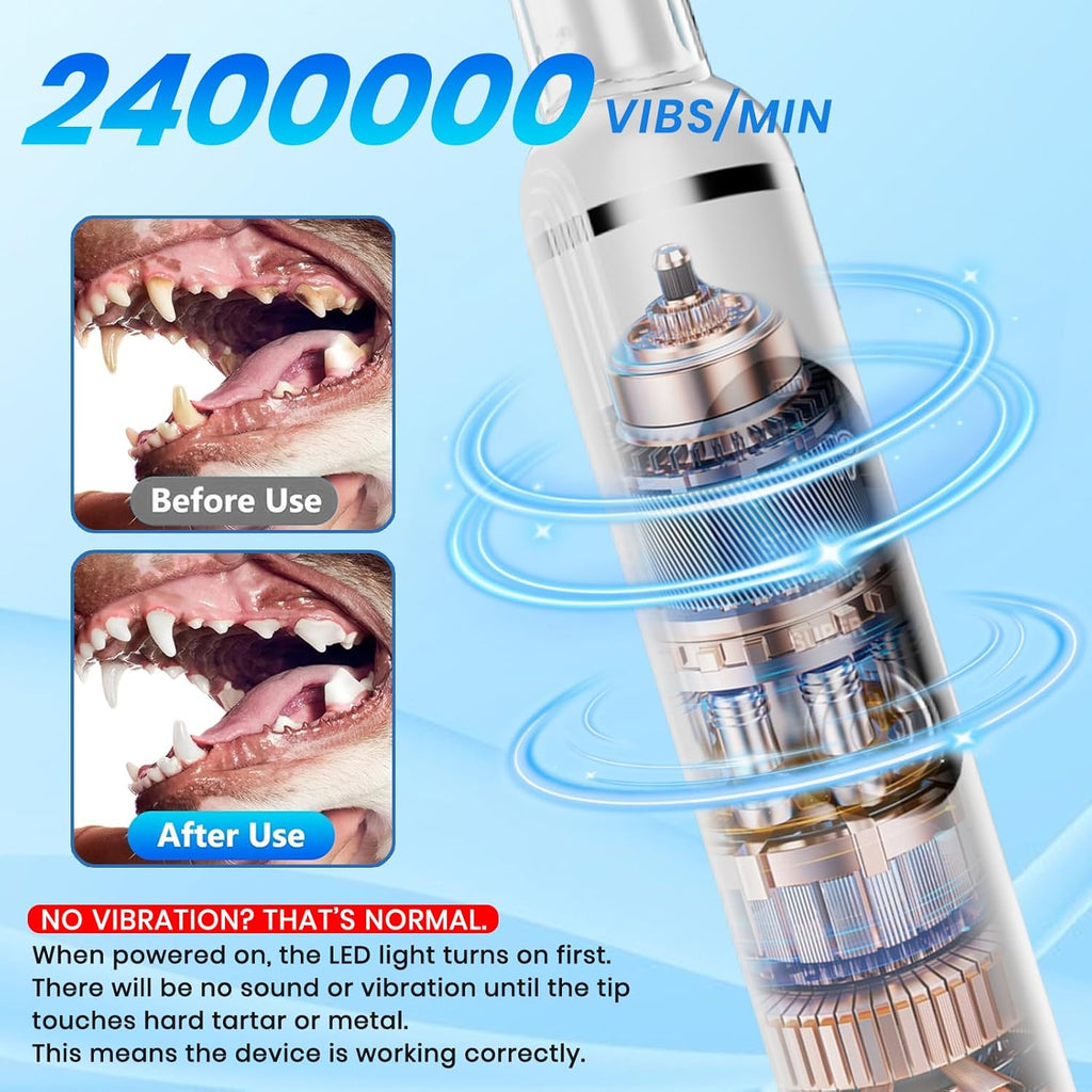 Close up of ultrasonic dental head for dogs