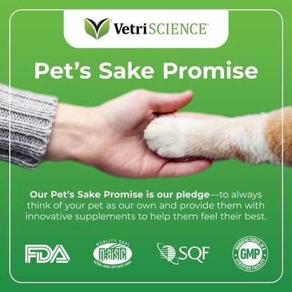 Veterinarian recommended senior cat supplement branding