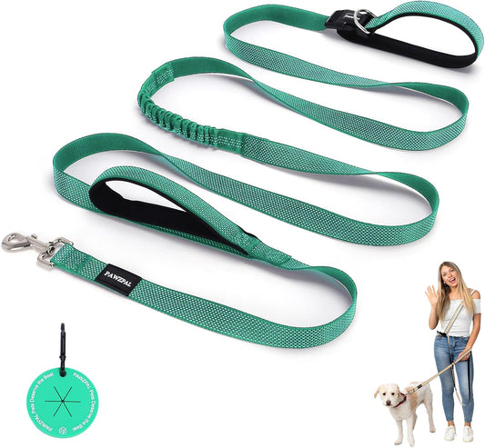 Pawzpal 8ft-10ft hands free dog leash mint green front view