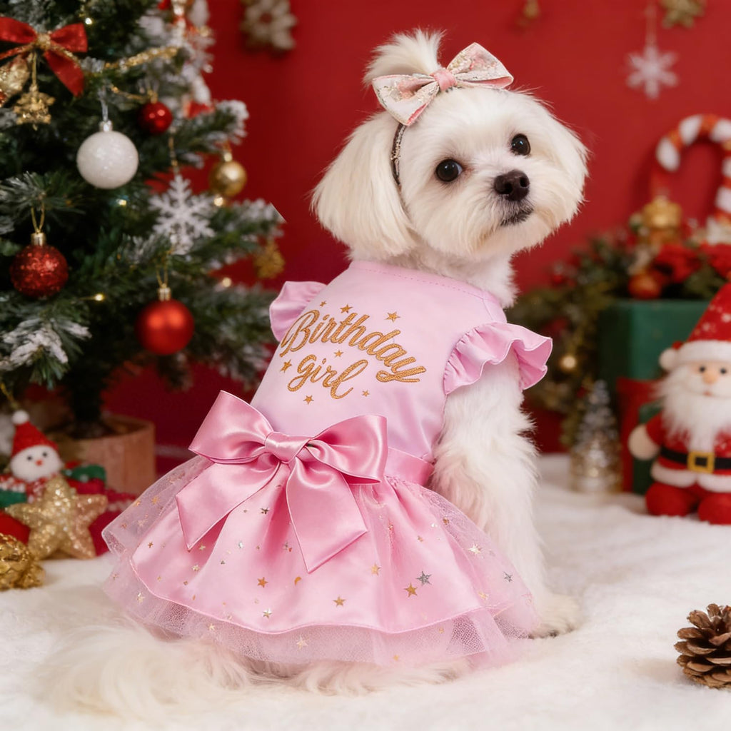 Back view of the Otunrues princess birthday dress highlighting the unique comfortable sleeves.