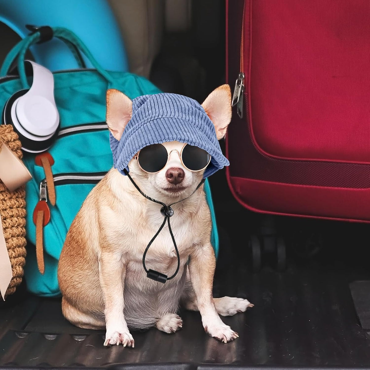 Side profile of dog wearing sun hat and protective eyewear
