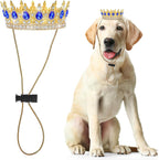 A Chihuahua posing as royalty with the sparkling Abbylike pink rhinestone crown