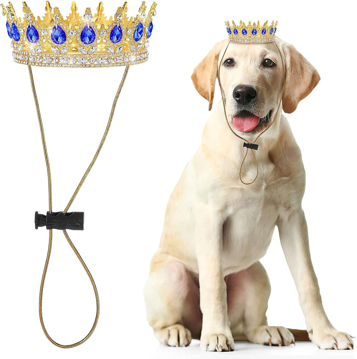 A Chihuahua posing as royalty with the sparkling Abbylike pink rhinestone crown