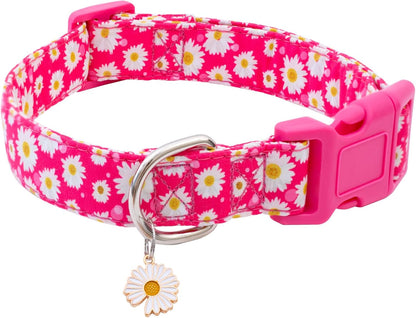 Faygarsle Cotton Designer Dogs Collar Cute Flower Dog Collars for Girl Female Small Medium Large Dogs with Flower Charms S - Image 14