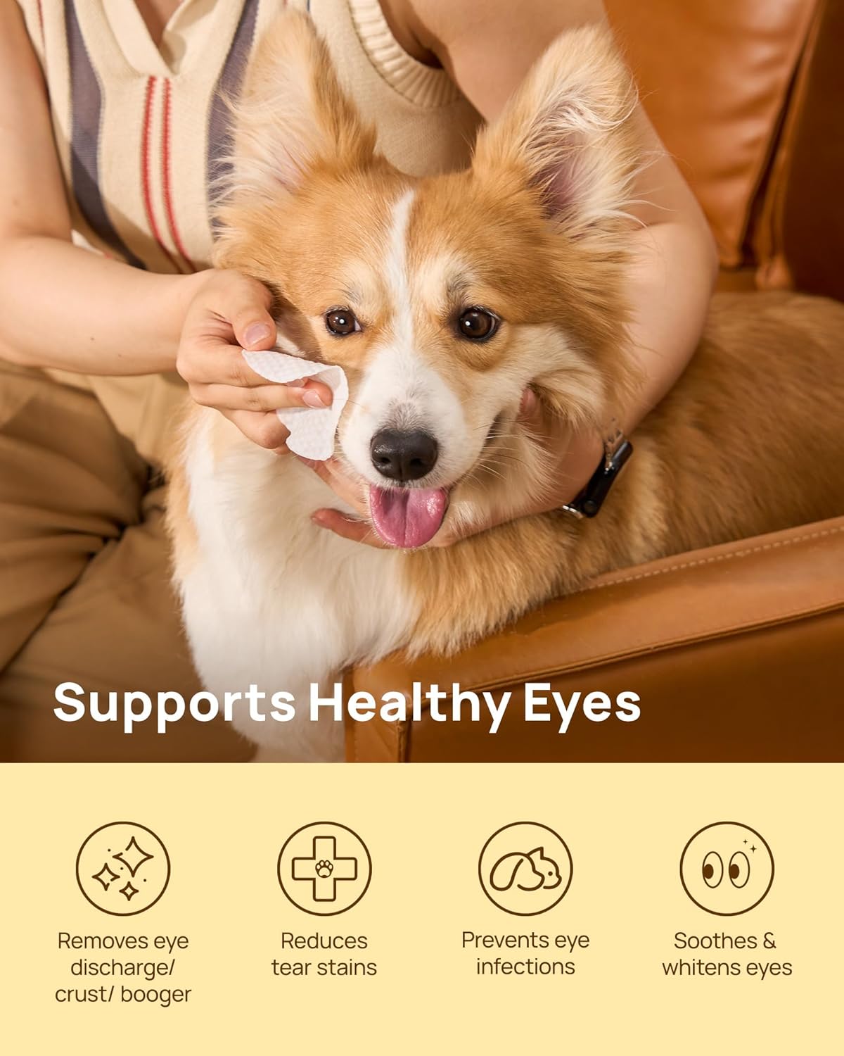 Close up of HICC PET 100 pieces pet eye cleaning pads container