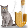 Atigrado Cat Whisker Holder front view glass keepsake jar on beech wood base