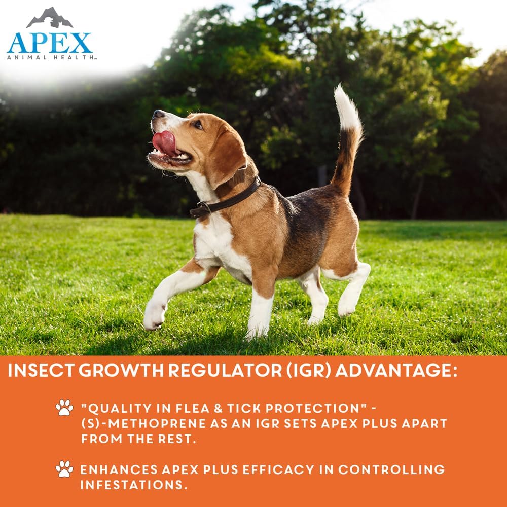 Waterproof flea control drops for small dogs packaging close up presentation