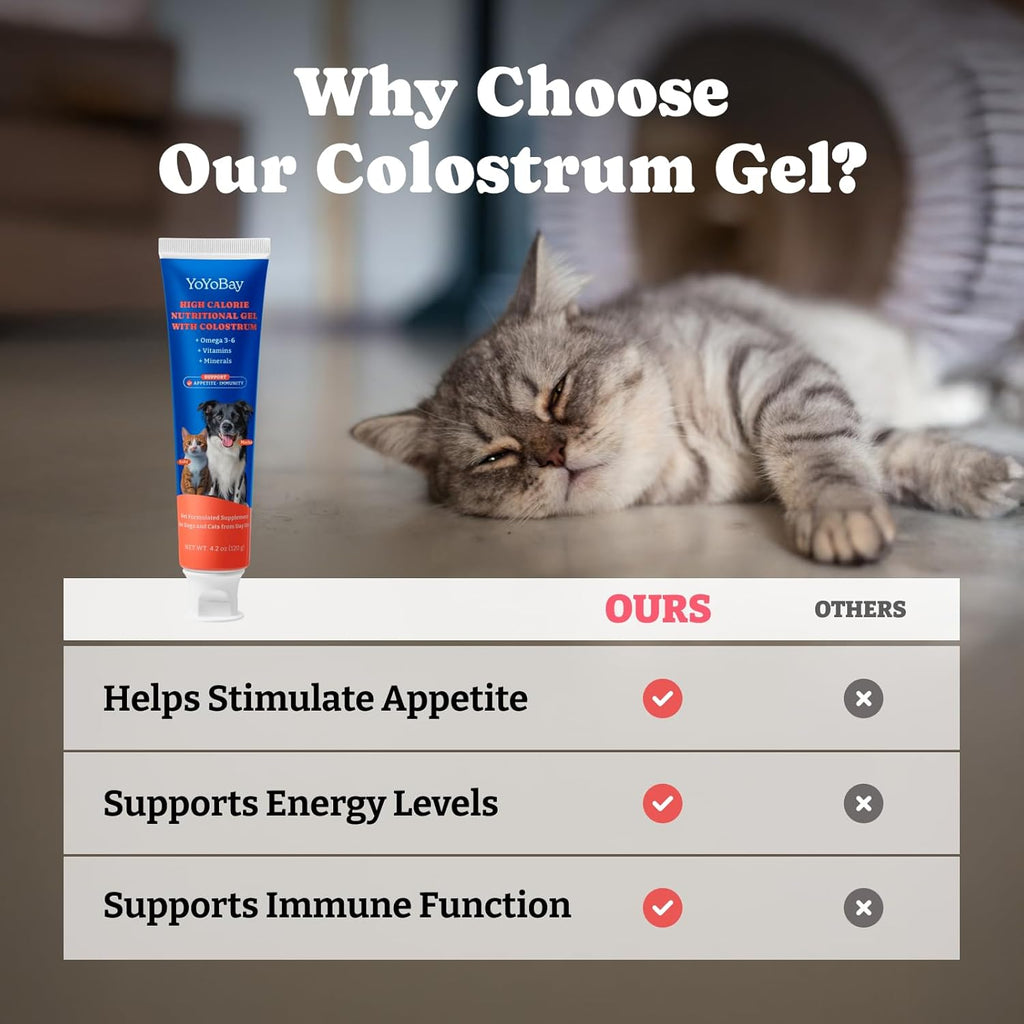 Bovine colostrum immune support gel for senior cats and dogs