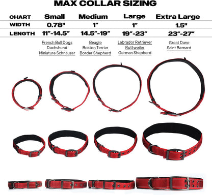 PetiFine medium dog collar adjustable sizing holes