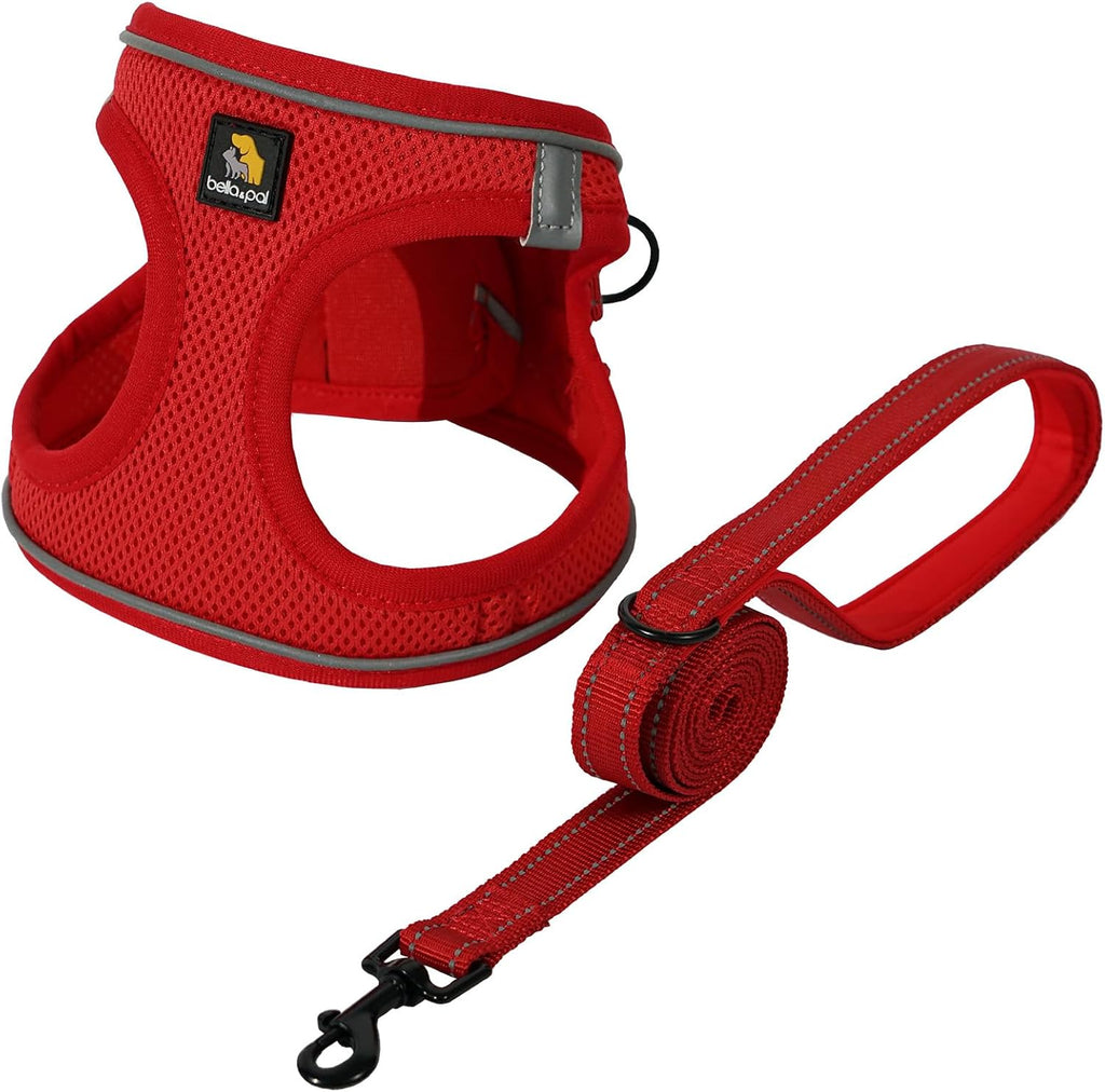 BELLA & PAL Step in Vest Harness for Small and Medium Dogs, No Pull Small Dog Harness with Leash Set, Comfortable Air Mesh Puppy Vest Harness with Reflective Strip (Lavender, XS) - Image 12