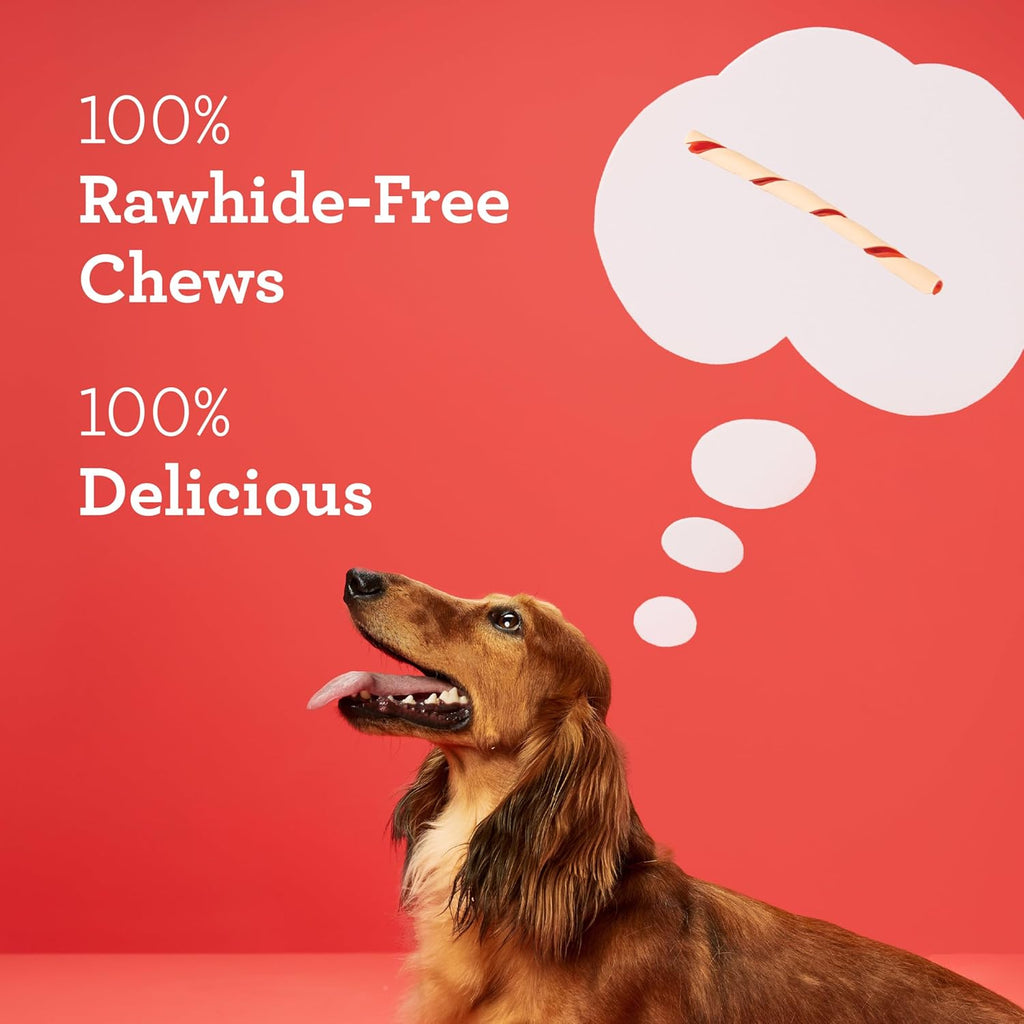 Back packaging of DreamBone dog treats outlining digestive health benefits.