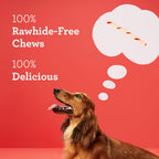 Back packaging of DreamBone dog treats outlining digestive health benefits.